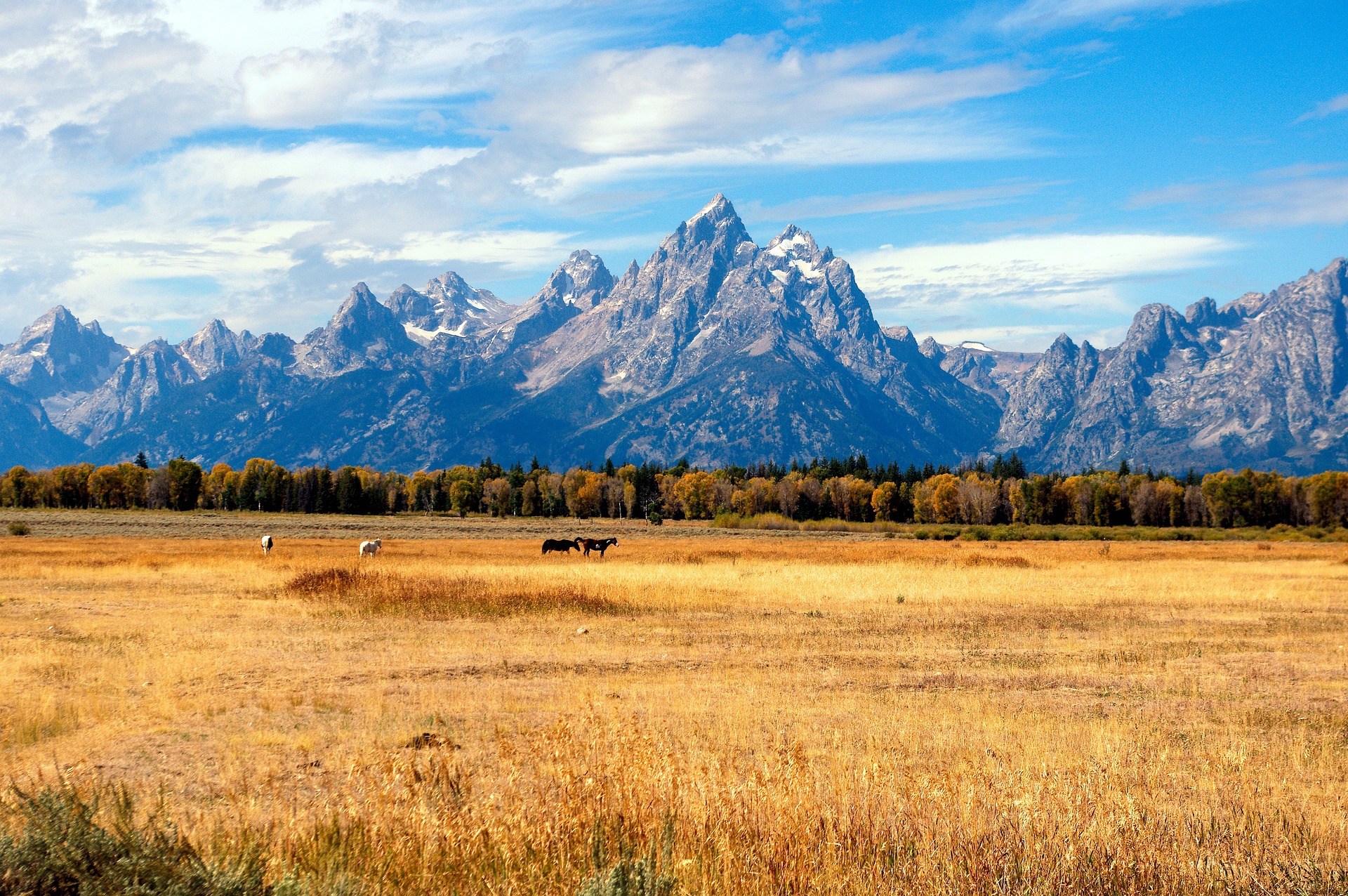 Grand Teton National Park